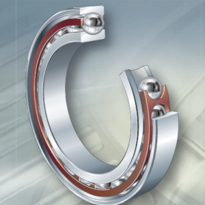 FAG B7005-C-T-P4S bearings