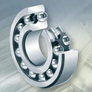 FAG 2219-K-M-C3 bearings