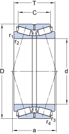 skf Tapered roller bearings,double row