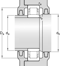 SKF Cylindrical Roller Bearings