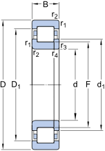 SKF Cylindrical Roller Bearings