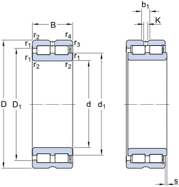SKF Cylindrical Roller Bearings,full complement