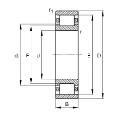 FAG Cylindrical roller bearings drawing