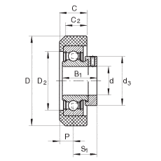 Bearing RCRA20/46-FA106