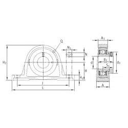 Bearing PASE55