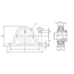 Bearing RASEY60-JIS