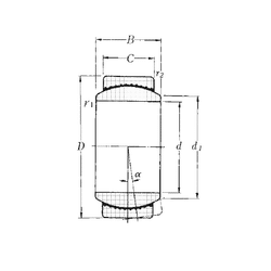 Bearing SAR4-25
