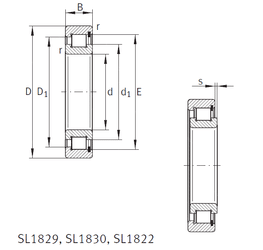 Bearing SL1818/500-E